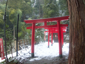 Henceforth known as Nako Shrine