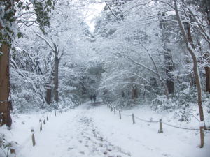 Woods near Kanazawa Castle