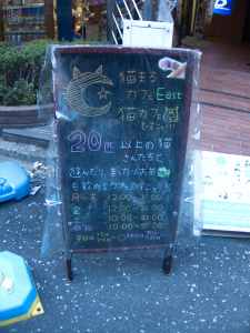 Nekomaru Cat Cafe