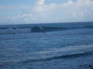 Surfing dudes
