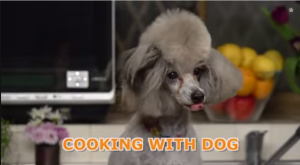 Why wouldn't you cook with dog?