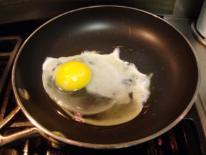 Fry this egg up.