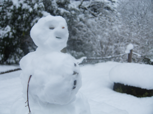 Neutral face snowman