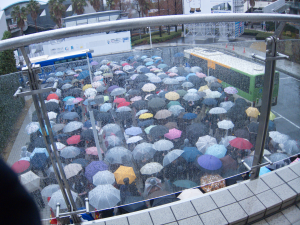 Line for Tokyo Station bus