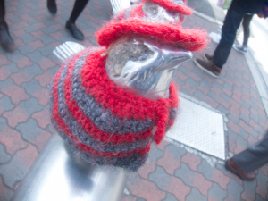 Sweater bird.
