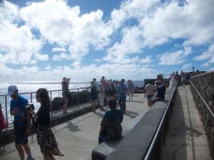 Lots of people at the blowhole