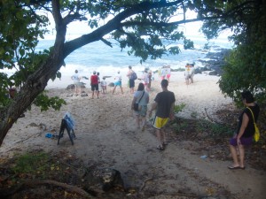 Sea Turtle Beach