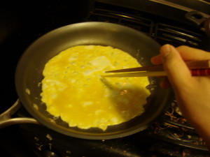 First egg layer