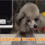 cooking with dog